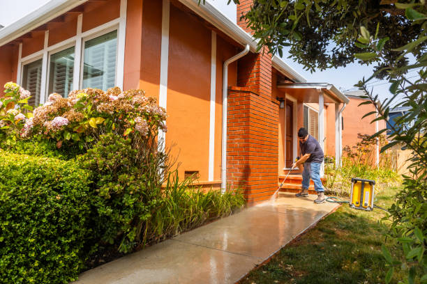 Best House Pressure Washing  in Phoenix, IL