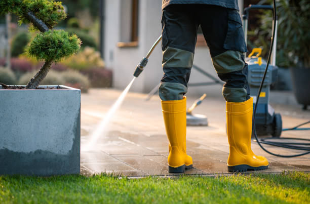 Best Affordable Pressure Washing  in Phoenix, IL